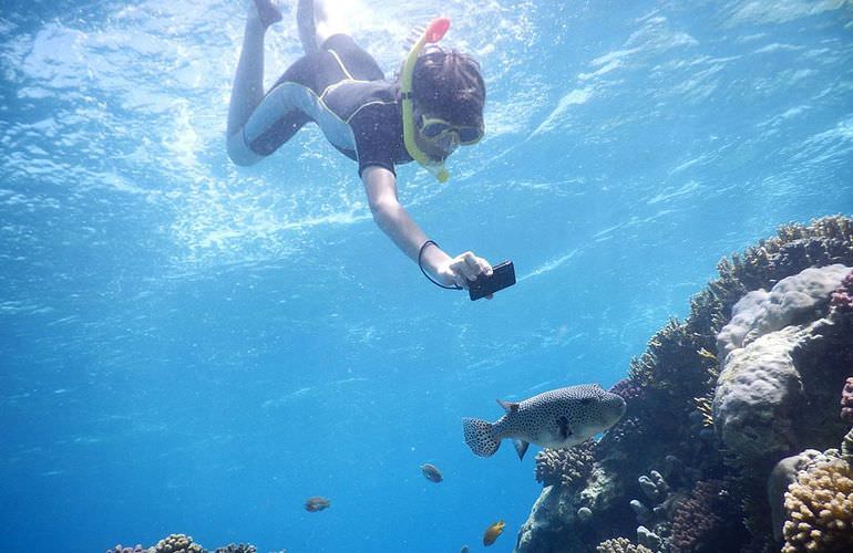 Ausflug zum Schnorcheln mit Insel-Fahrt von Sahl Hasheesh aus