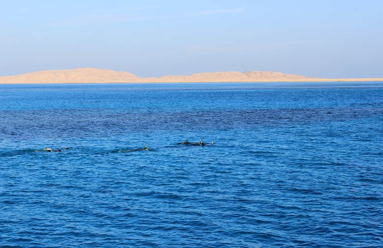 Ausflug zum Schnorcheln mit Insel-Fahrt von Sahl Hasheesh aus