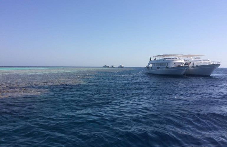 Ausflug zum Schnorcheln mit Insel-Fahrt von Sahl Hasheesh aus