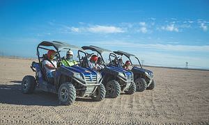 Private Buggy Tour in Sahl Hasheesh am Morgen mit Kamelreiten  