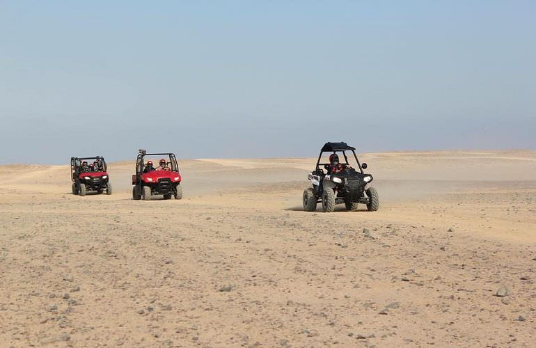 Private Buggy Tour in Sahl Hasheesh am Morgen mit Kamelreiten  