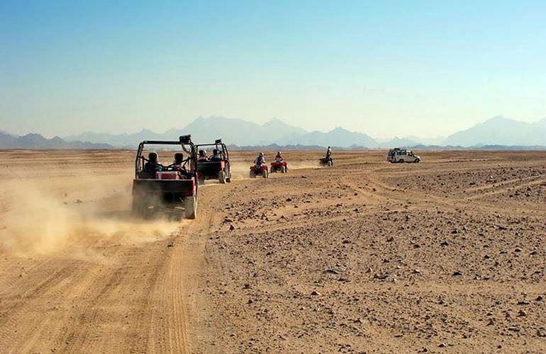 Private Buggy Tour in Sahl Hasheesh am Morgen mit Kamelreiten  