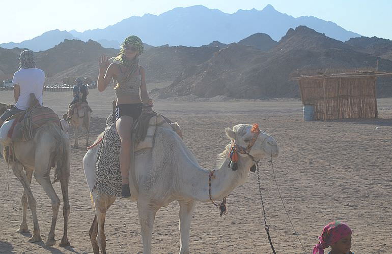 Private Buggy Tour in Sahl Hasheesh am Morgen mit Kamelreiten  