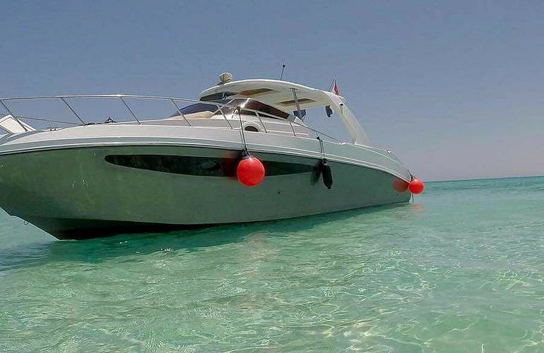 Privater Ausflug zu den Delfinen mit Speedboot ab Sahl Hasheesh