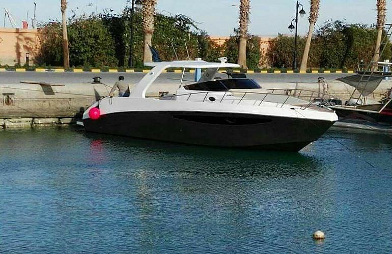 Privater Ausflug zu den Delfinen mit Speedboot ab Sahl Hasheesh