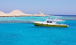 Tagesausflug von Sahl Hasheesh zur Giftun Insel