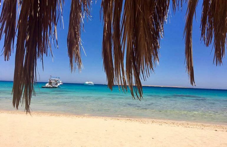 Insel Ausflug mit Schnorcheln ab Sahl Hasheesh - Karibik Feeling pur