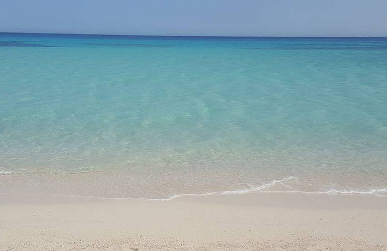 Insel Ausflug mit Schnorcheln ab Sahl Hasheesh - Karibik Feeling pur