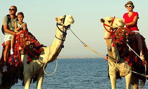 Kamelreiten in Sahl Hasheesh: Reiten am Strand oder in der Wüste