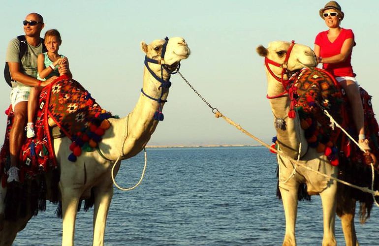Kamelreiten in Sahl Hasheesh: Reiten am Strand oder in der Wüste