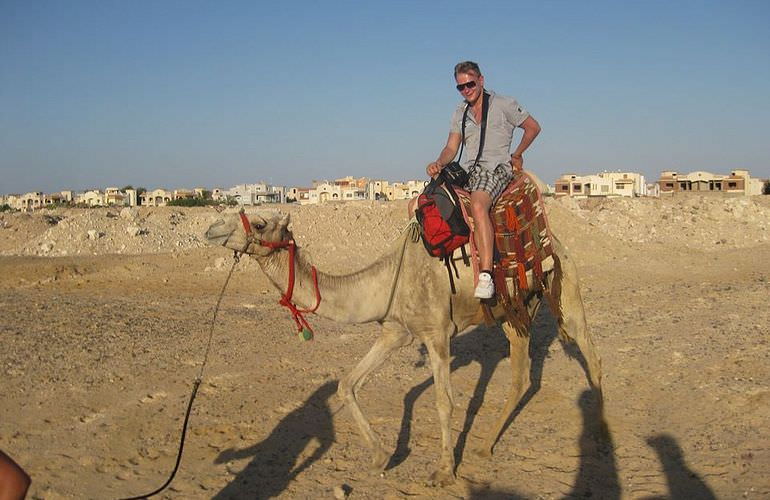 Kamelreiten in Sahl Hasheesh: Reiten am Strand oder in der Wüste