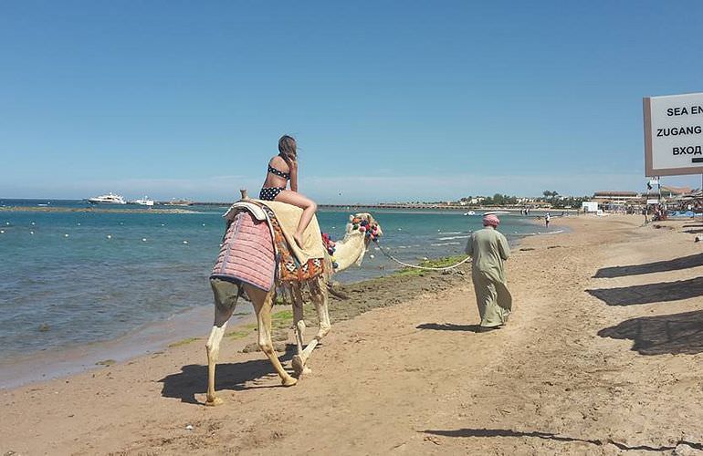 Kamelreiten in Sahl Hasheesh: Reiten am Strand oder in der Wüste