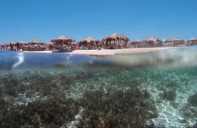 Ganztagesausflug von Sahl Hasheesh zur Paradies Insel mit dem Boot