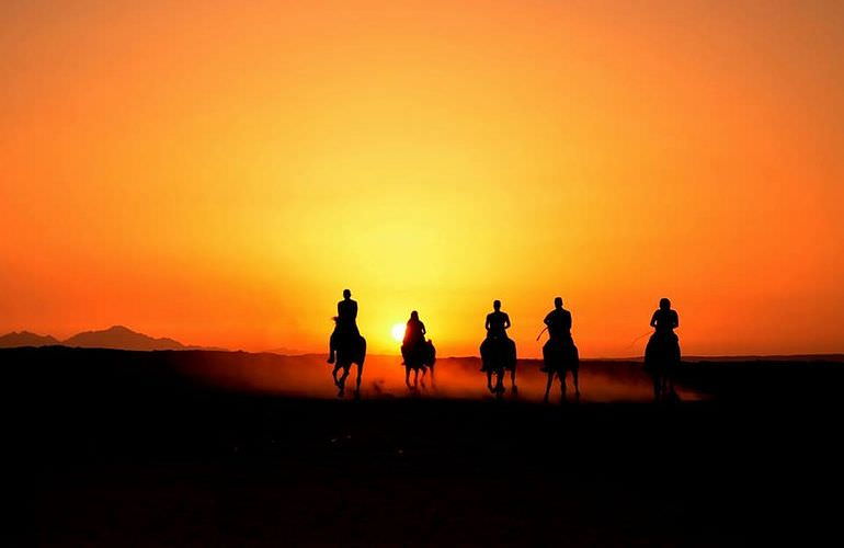 Pferde Reiten in Sahl Hasheesh: Reiten am Strand oder in der Wüste