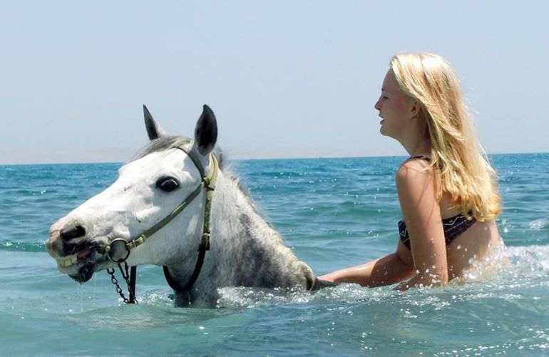 Pferde Reiten in Sahl Hasheesh: Reiten am Strand oder in der Wüste