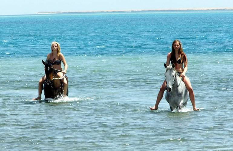 Pferde Reiten in Sahl Hasheesh: Reiten am Strand oder in der Wüste