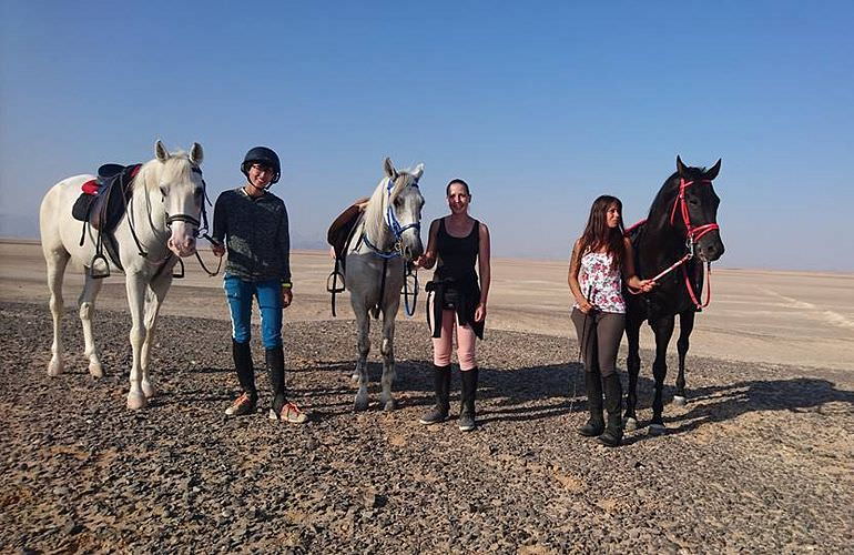 Pferde Reiten in Sahl Hasheesh: Reiten am Strand oder in der Wüste