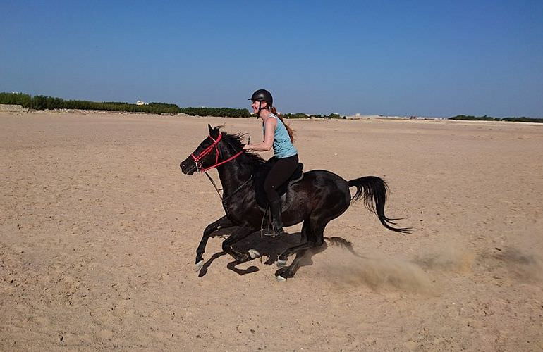 Pferde Reiten in Sahl Hasheesh: Reiten am Strand oder in der Wüste