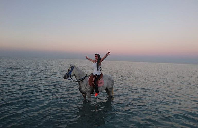 Pferde Reiten in Sahl Hasheesh: Reiten am Strand oder in der Wüste