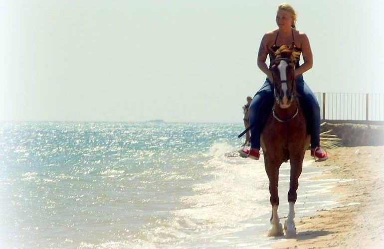 Pferde Reiten in Sahl Hasheesh: Reiten am Strand oder in der Wüste