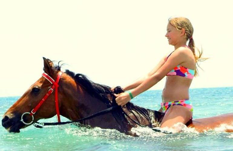 Pferde Reiten in Sahl Hasheesh: Reiten am Strand oder in der Wüste