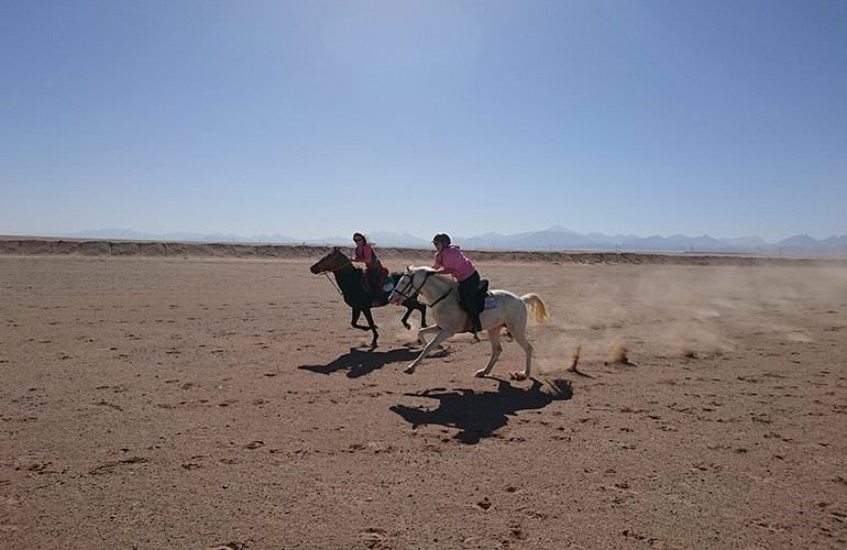 Pferde Reiten in Sahl Hasheesh: Reiten am Strand oder in der Wüste