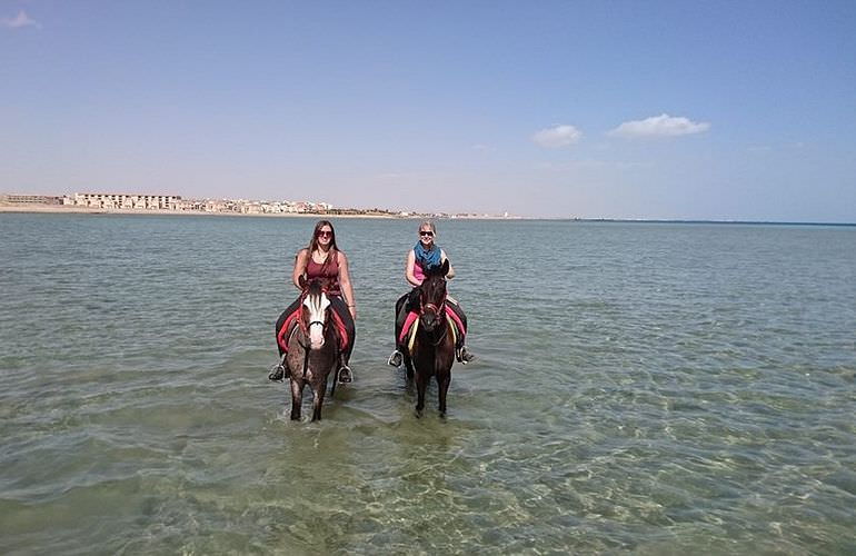 Pferde Reiten in Sahl Hasheesh: Reiten am Strand oder in der Wüste