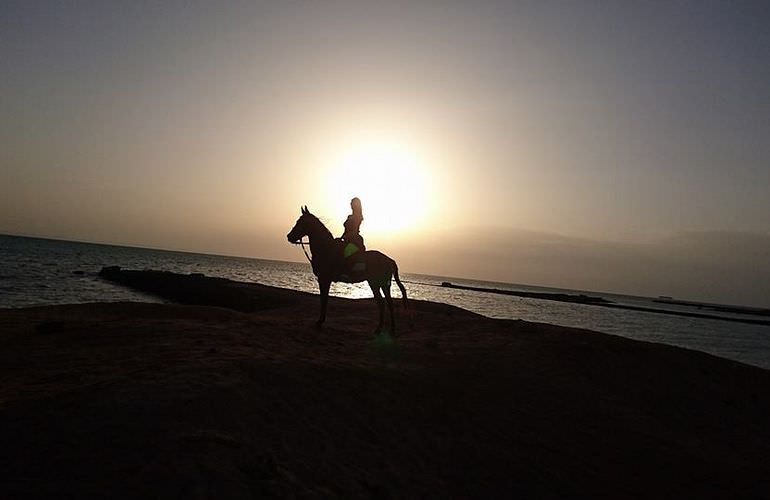 Pferde Reiten in Sahl Hasheesh: Reiten am Strand oder in der Wüste