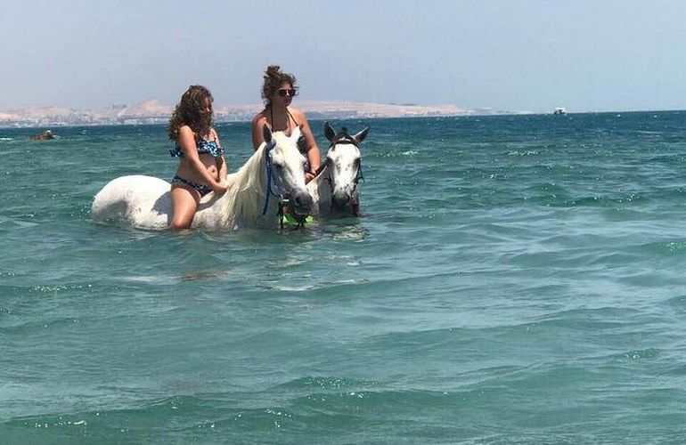 Pferde Reiten in Sahl Hasheesh: Reiten am Strand oder in der Wüste