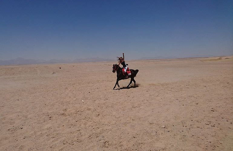 Pferde Reiten in Sahl Hasheesh: Reiten am Strand oder in der Wüste