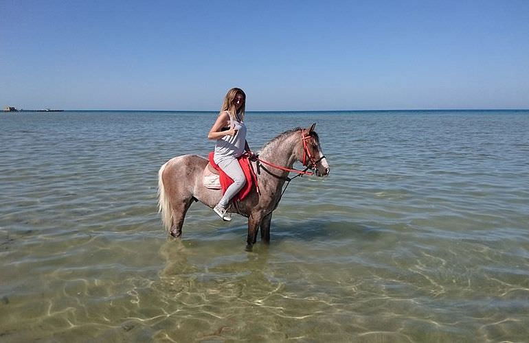 Pferde Reiten in Sahl Hasheesh: Reiten am Strand oder in der Wüste