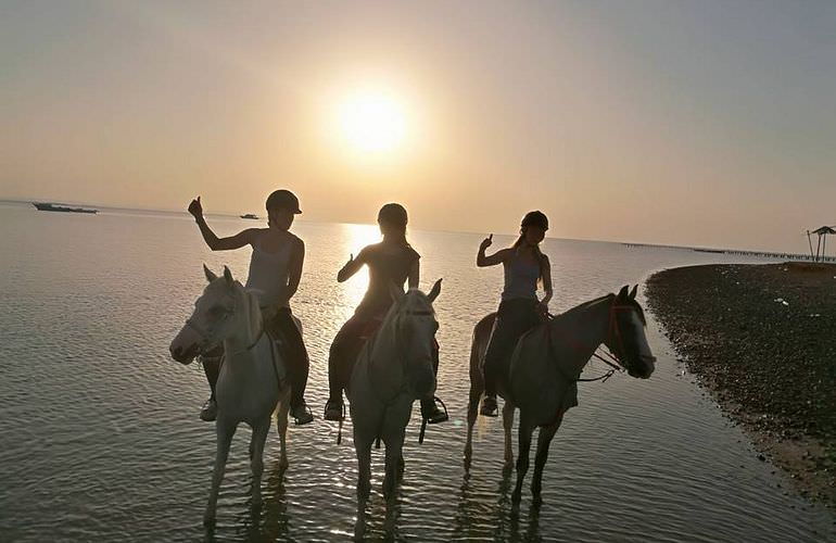 Pferde Reiten in Sahl Hasheesh: Reiten am Strand oder in der Wüste