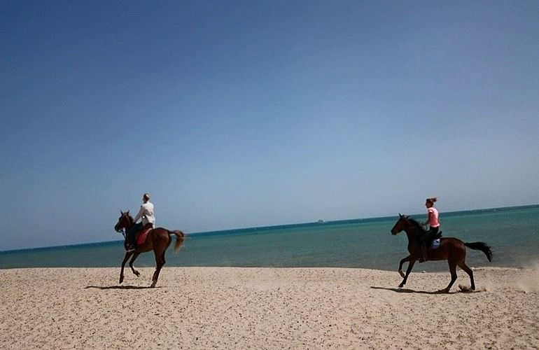 Pferde Reiten in Sahl Hasheesh: Reiten am Strand oder in der Wüste