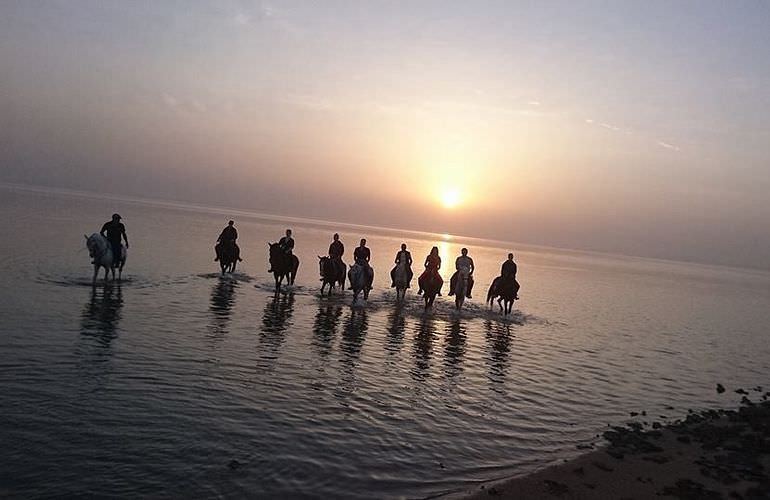 Pferde Reiten in Sahl Hasheesh: Reiten am Strand oder in der Wüste