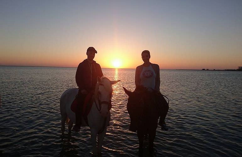 Pferde Reiten in Sahl Hasheesh: Reiten am Strand oder in der Wüste