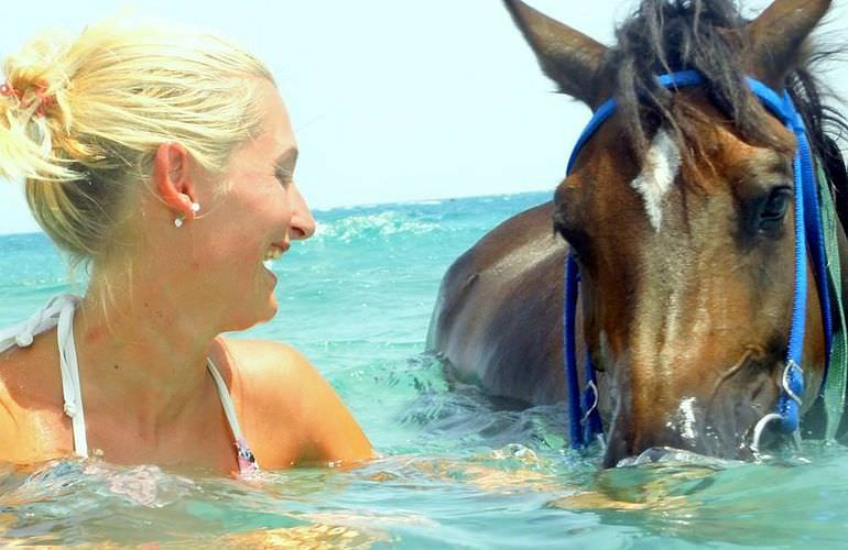 Pferde Reiten in Sahl Hasheesh: Reiten am Strand oder in der Wüste