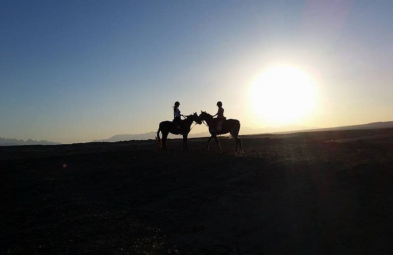 Pferde Reiten in Sahl Hasheesh: Reiten am Strand oder in der Wüste