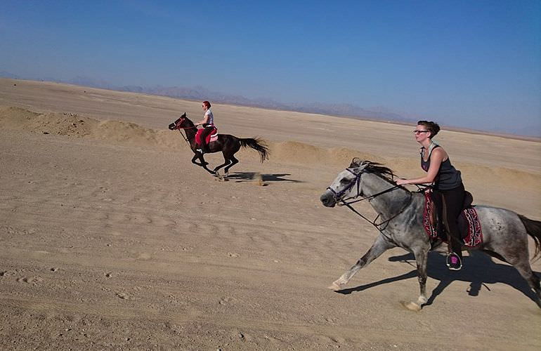 Pferde Reiten in Sahl Hasheesh: Reiten am Strand oder in der Wüste