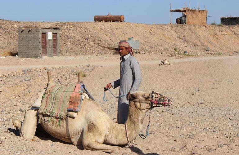 Quad Abenteuer in Sahl Hasheesh: Private Tour durch die Wüste mit Abendessen