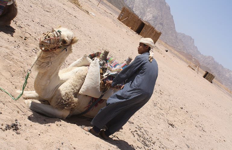 Quad Fahren Sahl Hasheesh: Privat, sportlich oder langsam - Abenteuer Wüste wie Sie es wünschen