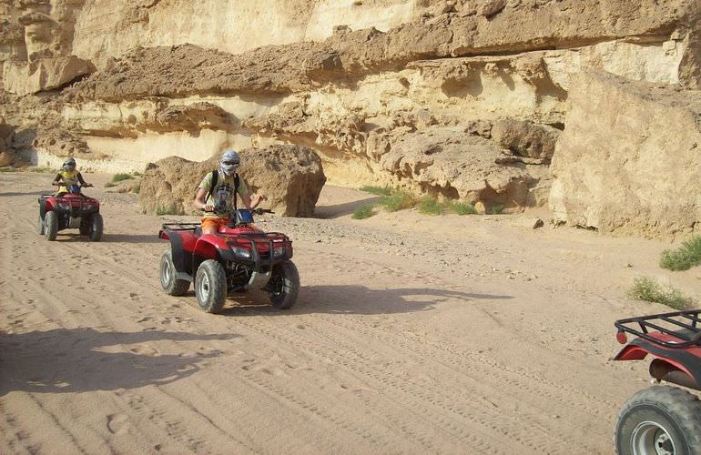 Quad Fahren Sahl Hasheesh: Privat, sportlich oder langsam - Abenteuer Wüste wie Sie es wünschen