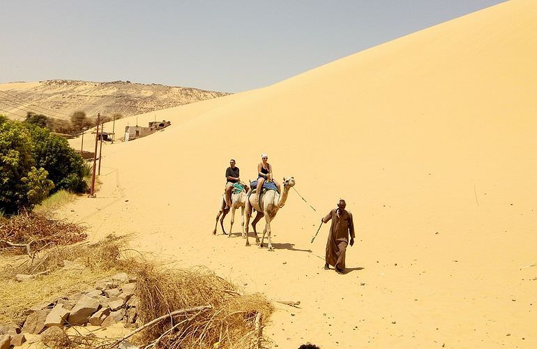 Quad Safari am Morgen durch die Wüste von Sahl Hasheesh mit Kamelreiten
