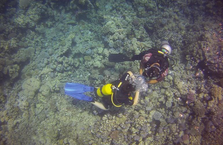 PADI Scuba Diver Kurs in Sahl Hasheesh - Schnuppertauchkurs 1 Tag