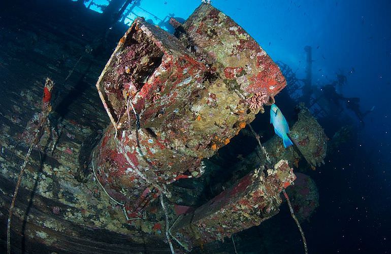 Tagesausflug Tauchen ab Sahl Hasheesh - Tauchen lernen