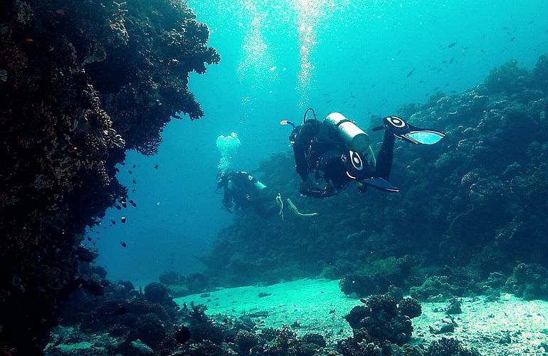 Tagesausflug Tauchen ab Sahl Hasheesh - Tauchen lernen