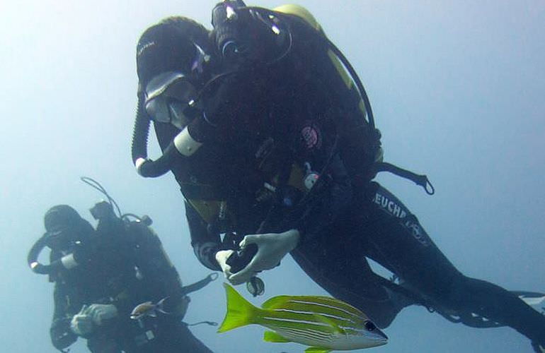 Fun Diving Sahl Hasheesh- Ganztägige Tauchfahrt mit 2 Tauchgängen