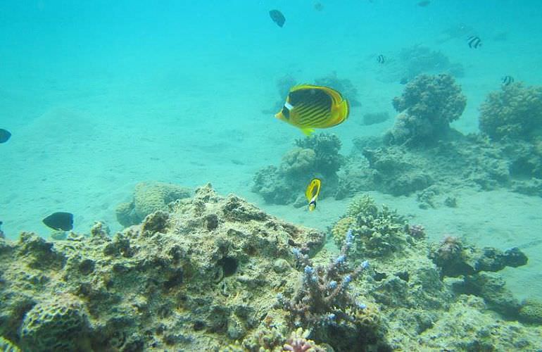 PADI Advanced Open Water Diver, Tauchkurs für Fortgeschrittene in Sahl Hasheesh