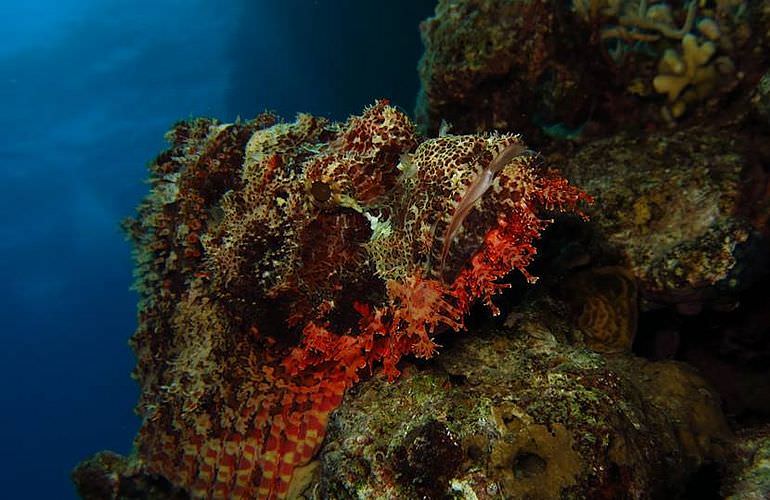 PADI Advanced Open Water Diver, Tauchkurs für Fortgeschrittene in Sahl Hasheesh