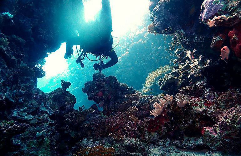 Fun Diving Sahl Hasheesh- Ganztägige Tauchfahrt mit 2 Tauchgängen