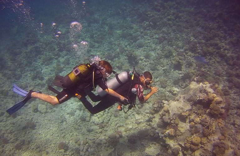 PADI Scuba Diver Kurs in Sahl Hasheesh - Schnuppertauchkurs 1 Tag